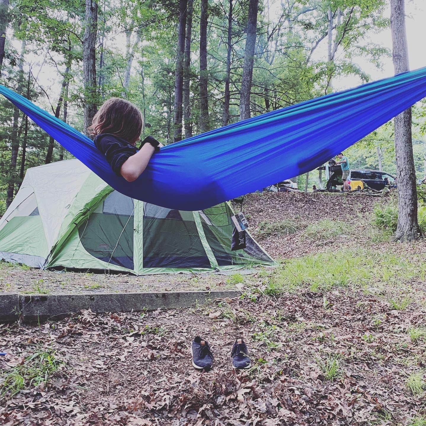 Camper submitted image from Caledonia State Park Campground - 4