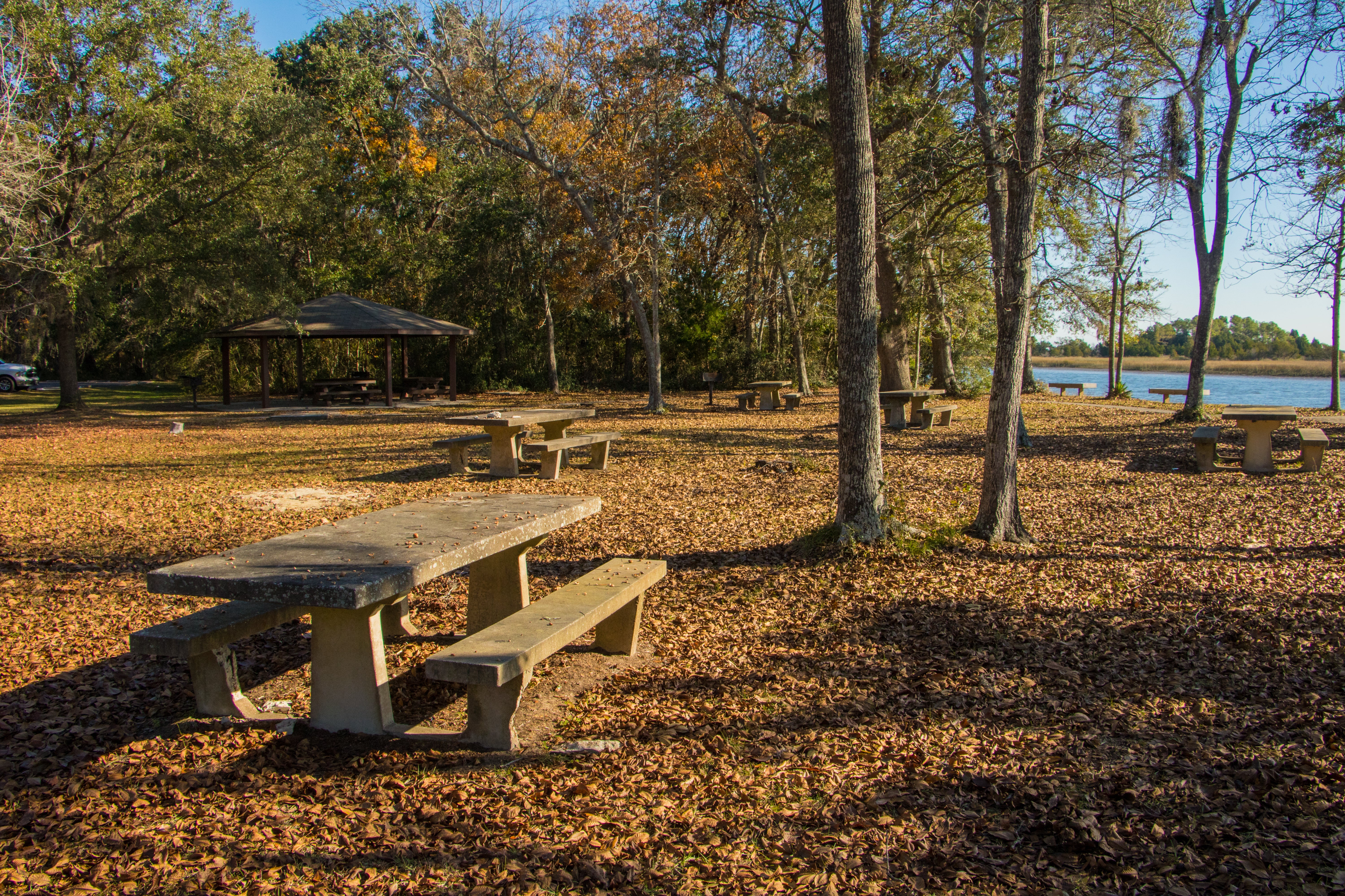 Camper submitted image from Buck Hall Recreation Area - 3