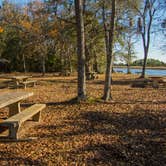 Review photo of Buck Hall Recreation Area by Shari  G., March 26, 2018