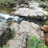 Review photo of Hawn State Park Campground by Kendall K., July 26, 2020