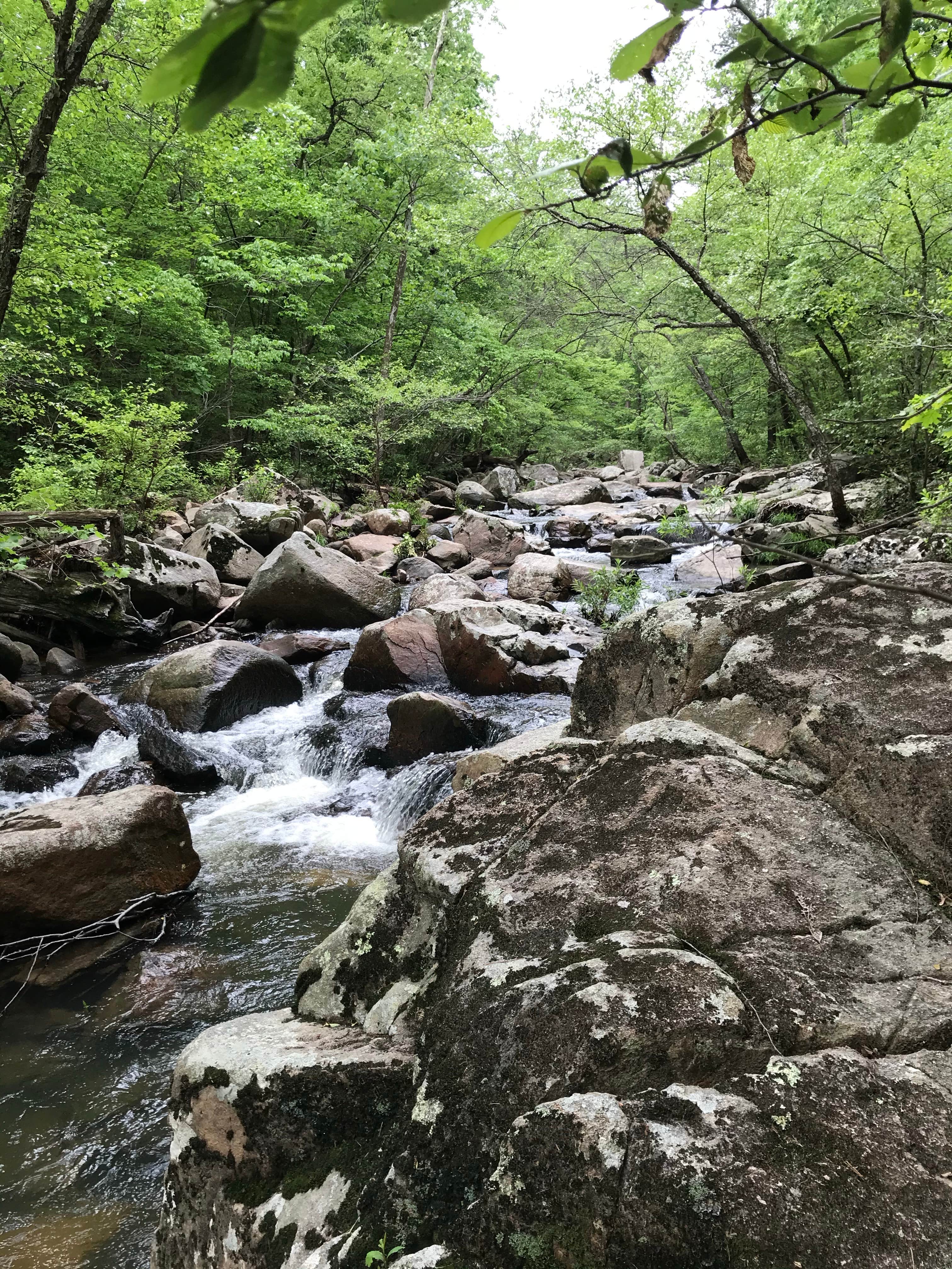 Camper-submitted photo at Back Country Camping — Hawn State Park near Park Hills, MO