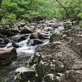 Review photo of Hawn State Park Campground by Kendall K., July 26, 2020