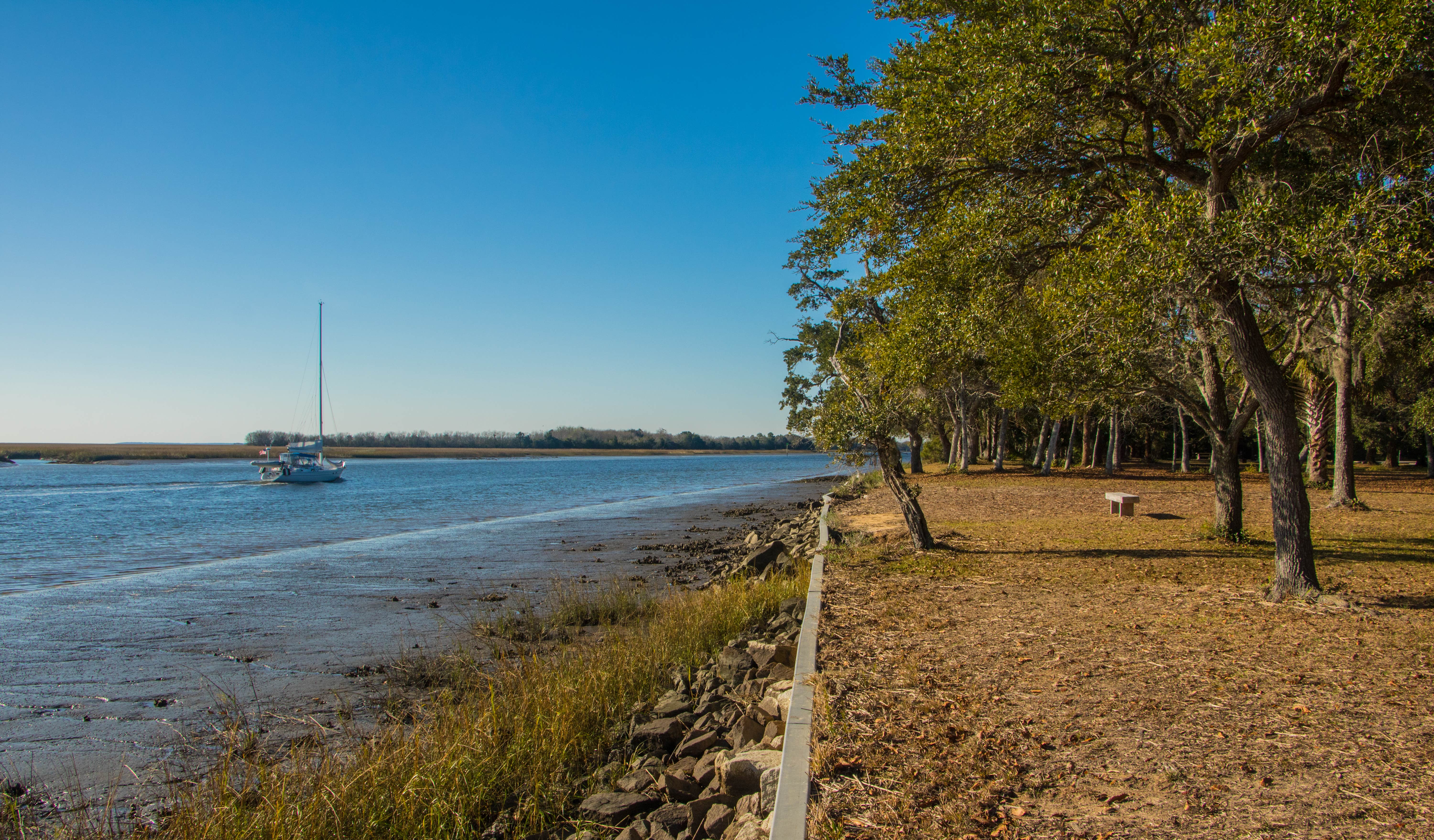 Buck Hall Recreation Area Camping | McClellanville, South Carolina