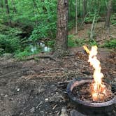 Review photo of Hawn State Park Campground by Kendall K., July 26, 2020