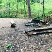 Review photo of Hawn State Park Campground by Kendall K., July 26, 2020