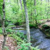 Review photo of Hawn State Park Campground by Kendall K., July 26, 2020