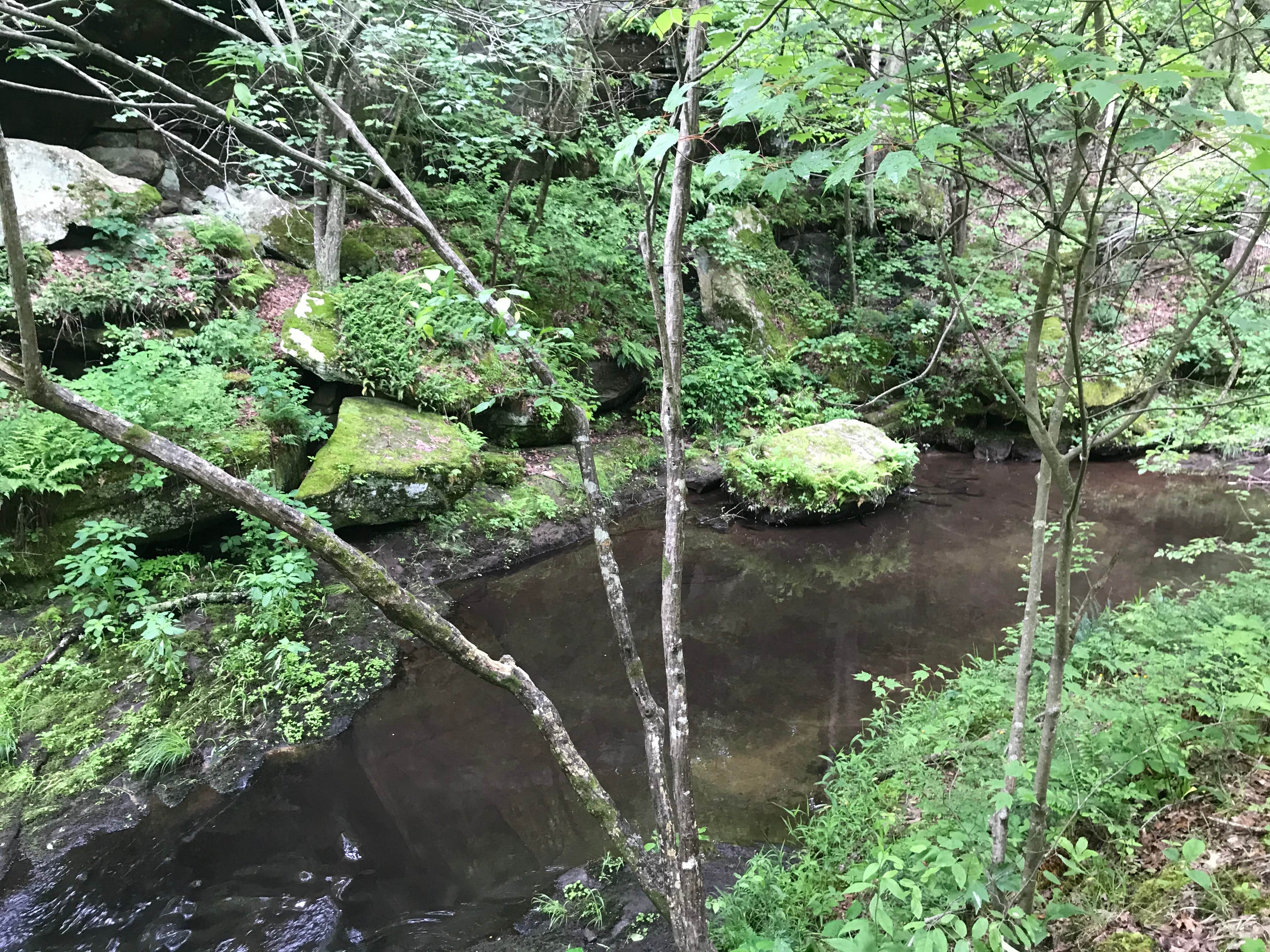 Camper-submitted photo at Back Country Camping — Hawn State Park near Park Hills, MO