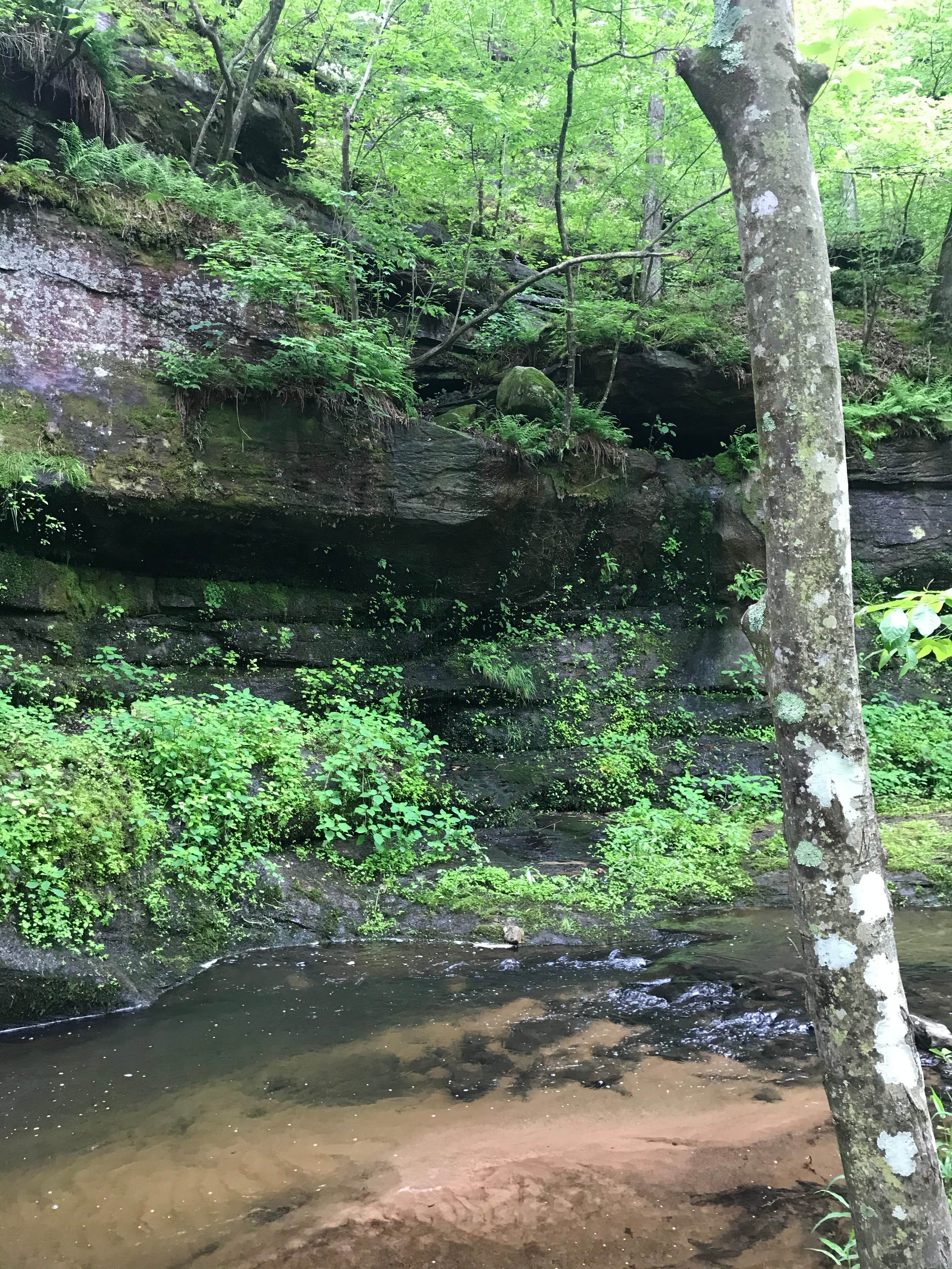 Camper-submitted photo at Back Country Camping — Hawn State Park near Park Hills, MO