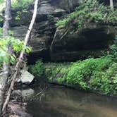 Review photo of Hawn State Park Campground by Kendall K., July 26, 2020