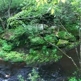 Review photo of Hawn State Park Campground by Kendall K., July 26, 2020