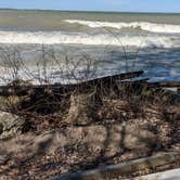 Review photo of Kelleys Island State Park Campground by Daniel & Heather U., November 26, 2019