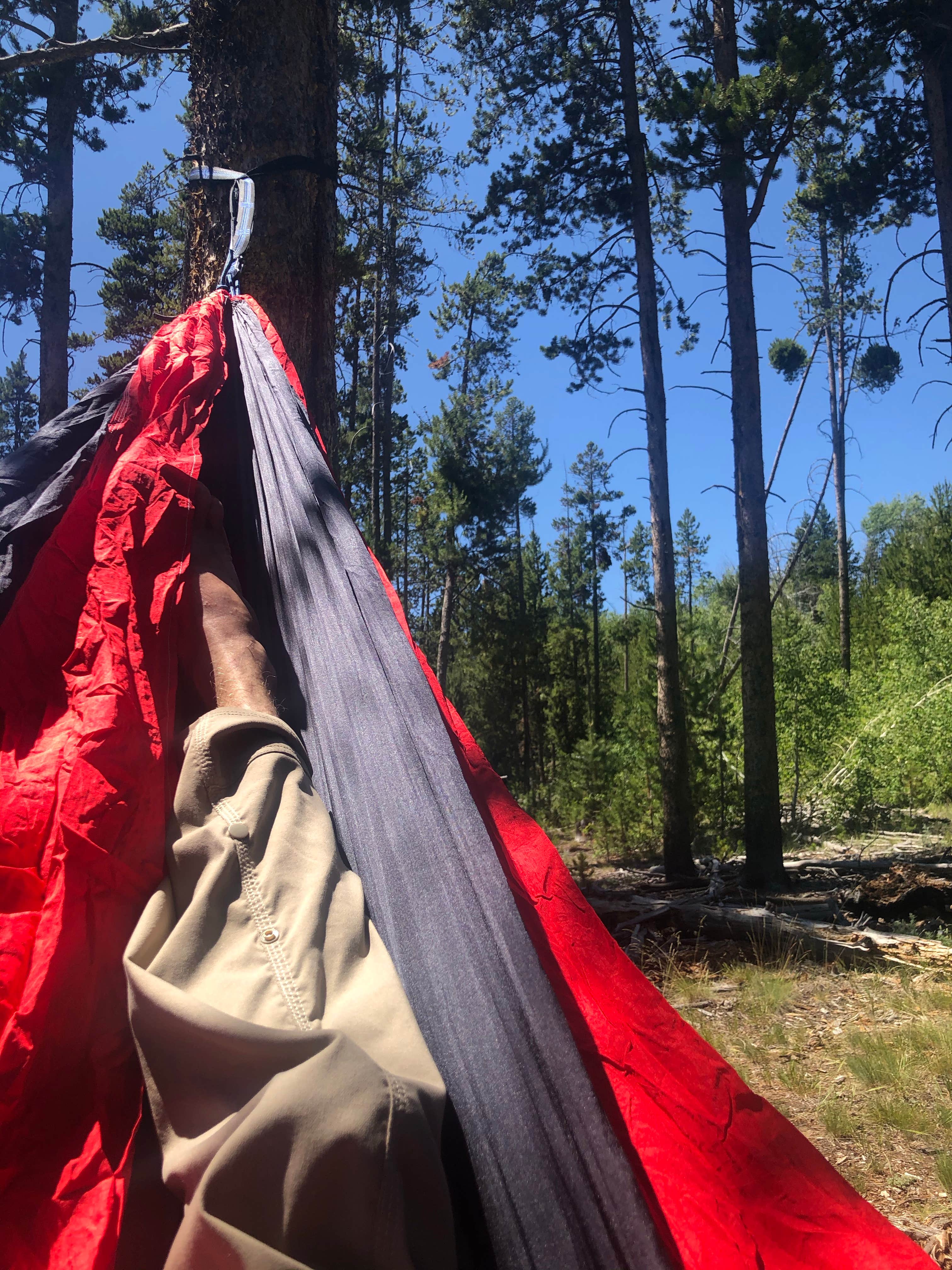 Ben H.'s photo of a dispersed camping area at Dispersed Camping near Corral, ID