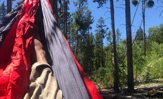 Ben H.'s photo of a dispersed camping area at Dispersed Camping near Fairfield, ID