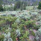 Review photo of Falls Campground by Jim M., July 27, 2020