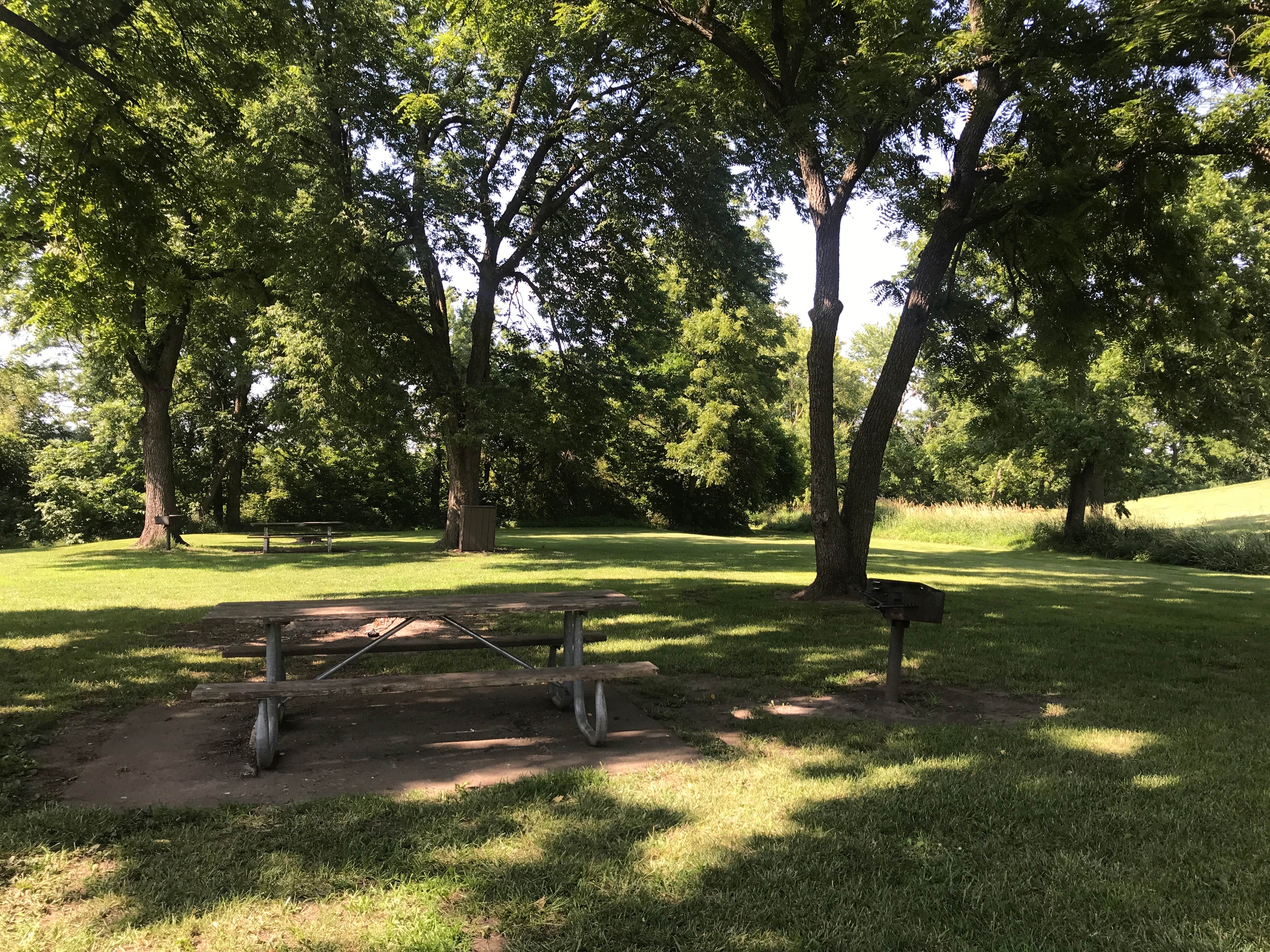 Camper submitted image from Warnock Lake Park - 3