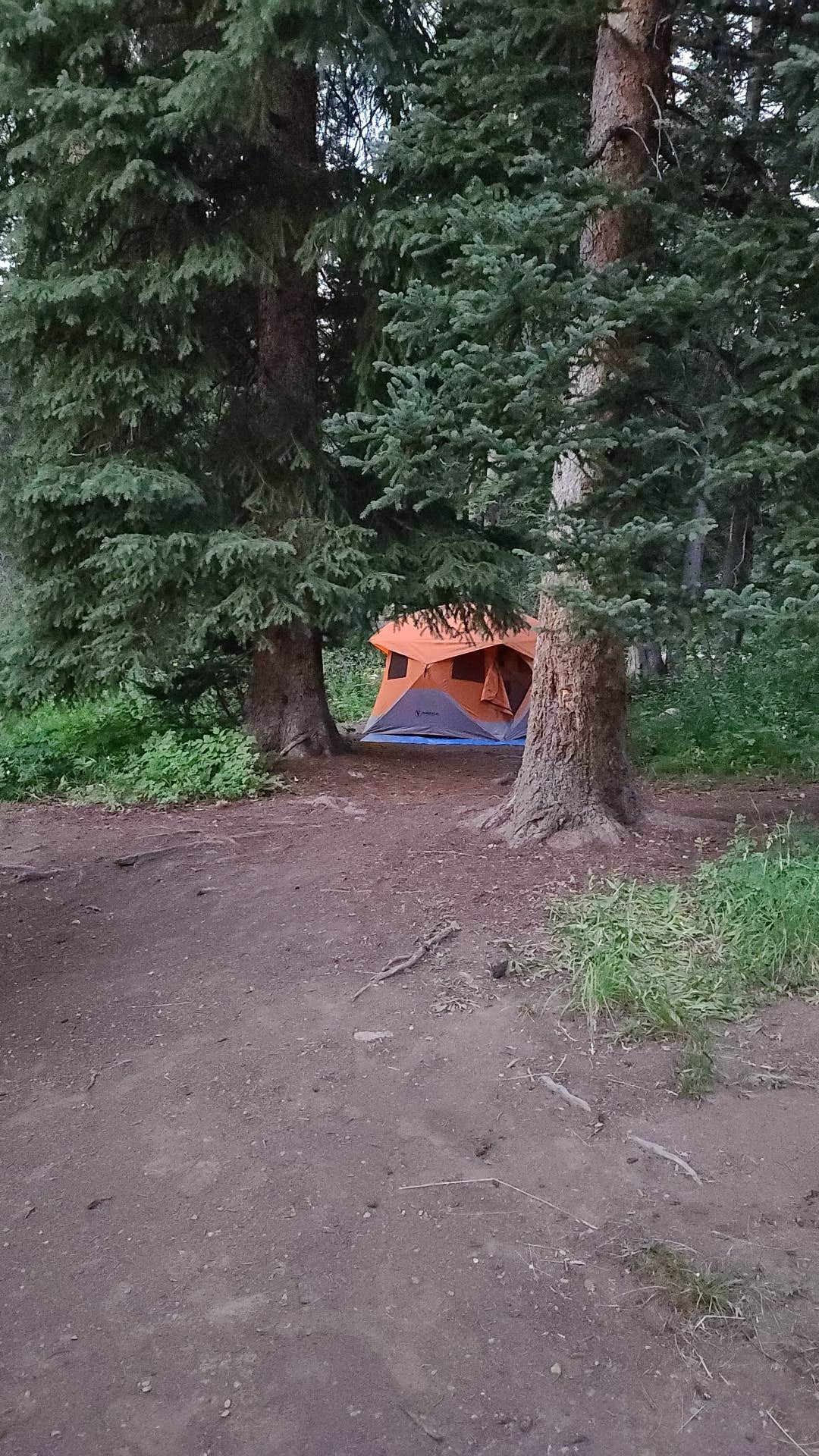 Brian H.'s photo at Redman Campground near Brighton, UT