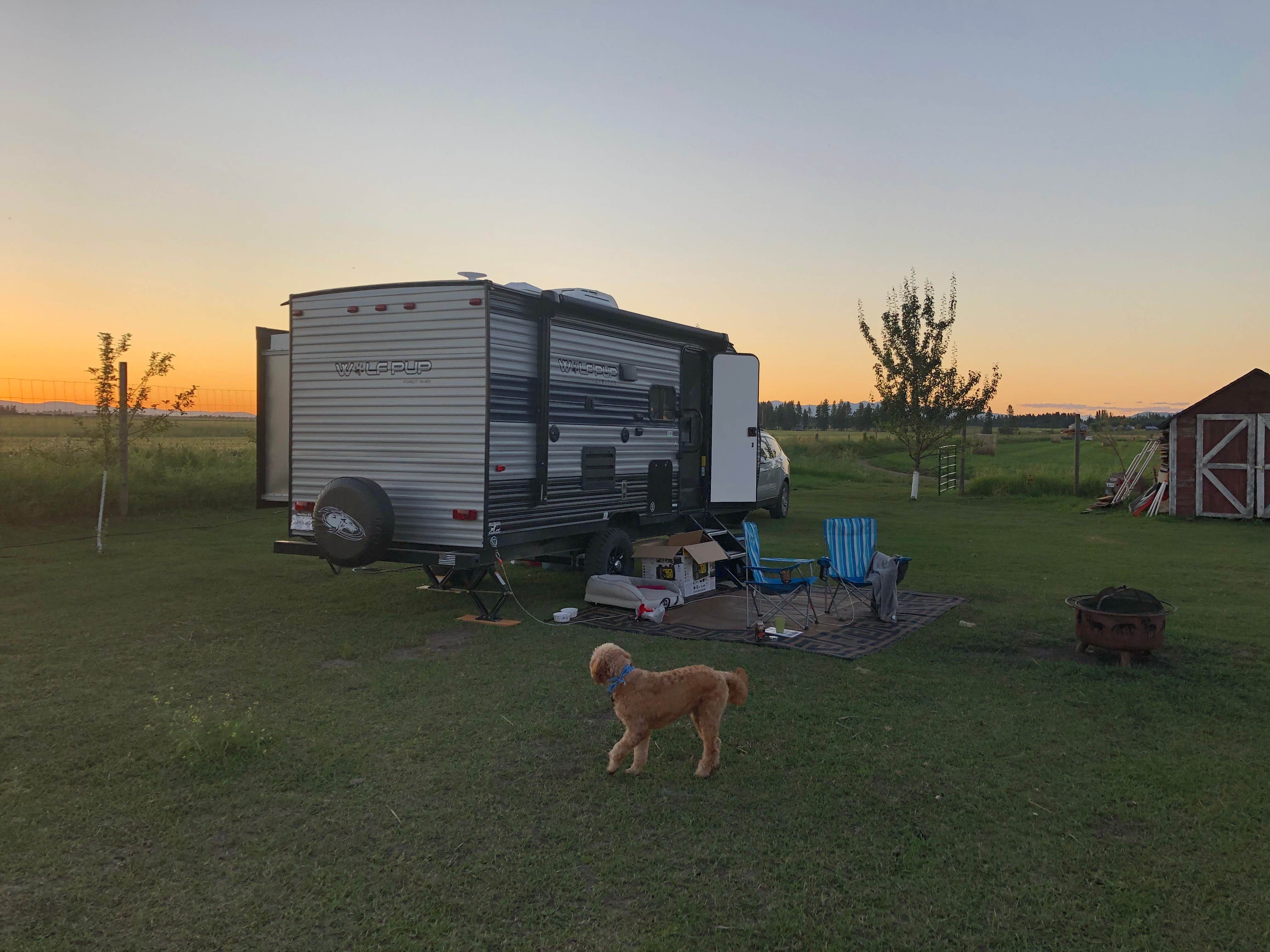 Brandon E.'s photo of camping with pets at Honey's Place RV Spot near Dayton, MT