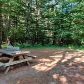 Review photo of Catskill/Kenneth L Wilson Campground by Katherine P., July 27, 2020