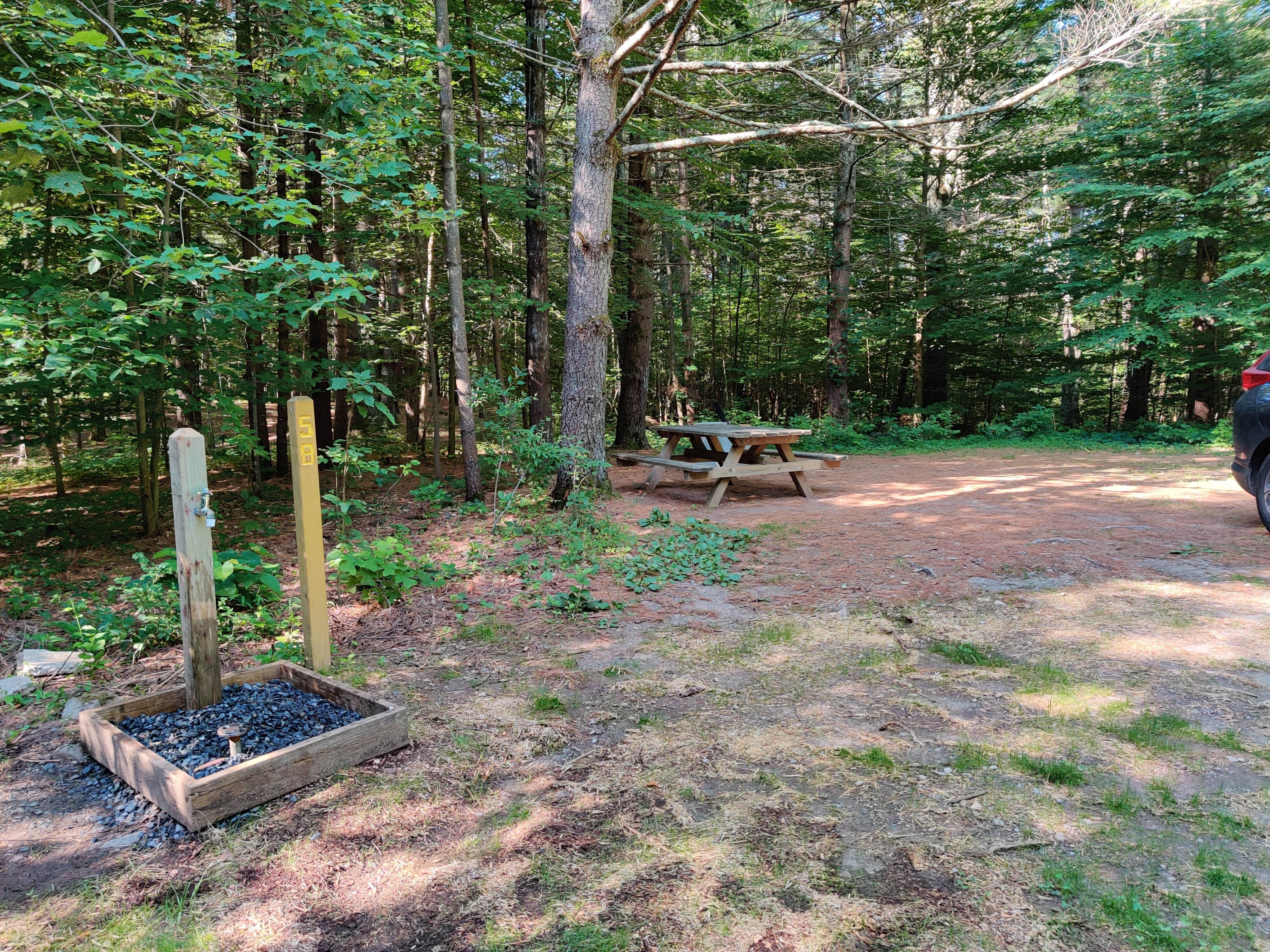 Camper-submitted photo at Catskill/Kenneth L Wilson Campground near Ulster Park, NY