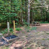 Review photo of Catskill/Kenneth L Wilson Campground by Katherine P., July 27, 2020