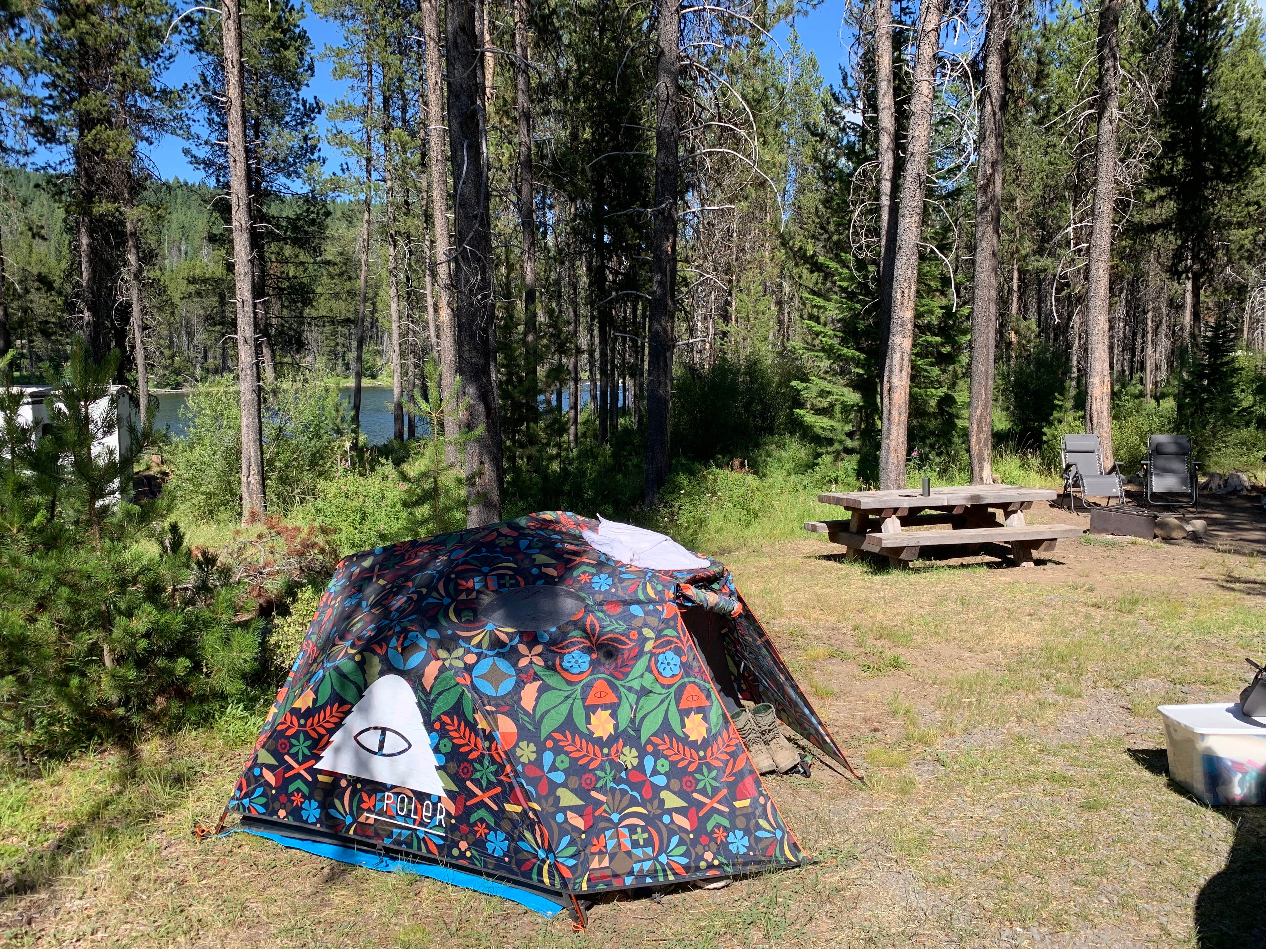 Meesh C.'s photo at East Lemolo Campground near Diamond Lake, OR