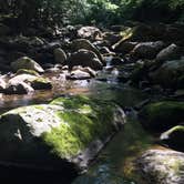 Review photo of Moosalamoo Campground by Lauren S., July 27, 2020