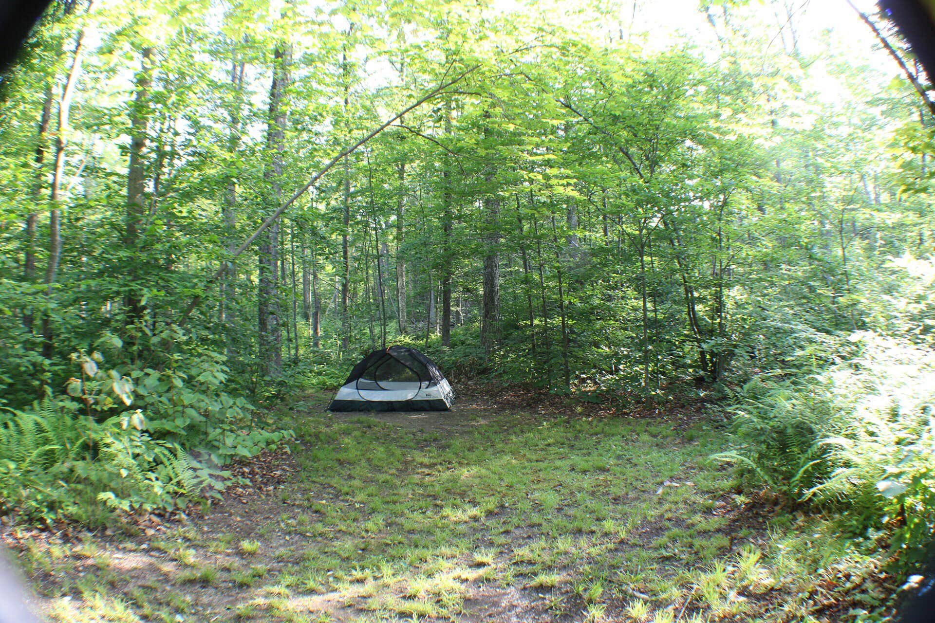 Lauren S.'s photo at Moosalamoo Campground near Addison, VT