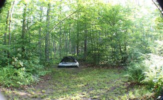 Lauren S.'s photo at Moosalamoo Campground near Green Mountain & Finger Lakes National Forests