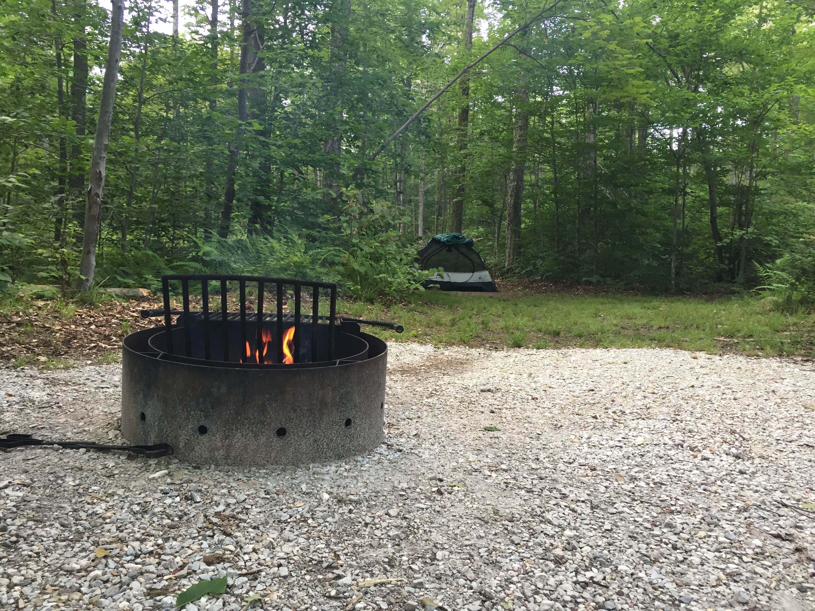 Camper submitted image from Moosalamoo Campground - 4