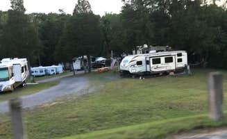 Lori H.'s photo of rv camping at Mountain Cove Marina & RV Park near Talbott, TN