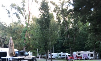 Camping near Douglas Dam Headwater Campground — Tennessee Valley Authority (TVA): Mountain Cove Marina, Sevierville, Tennessee