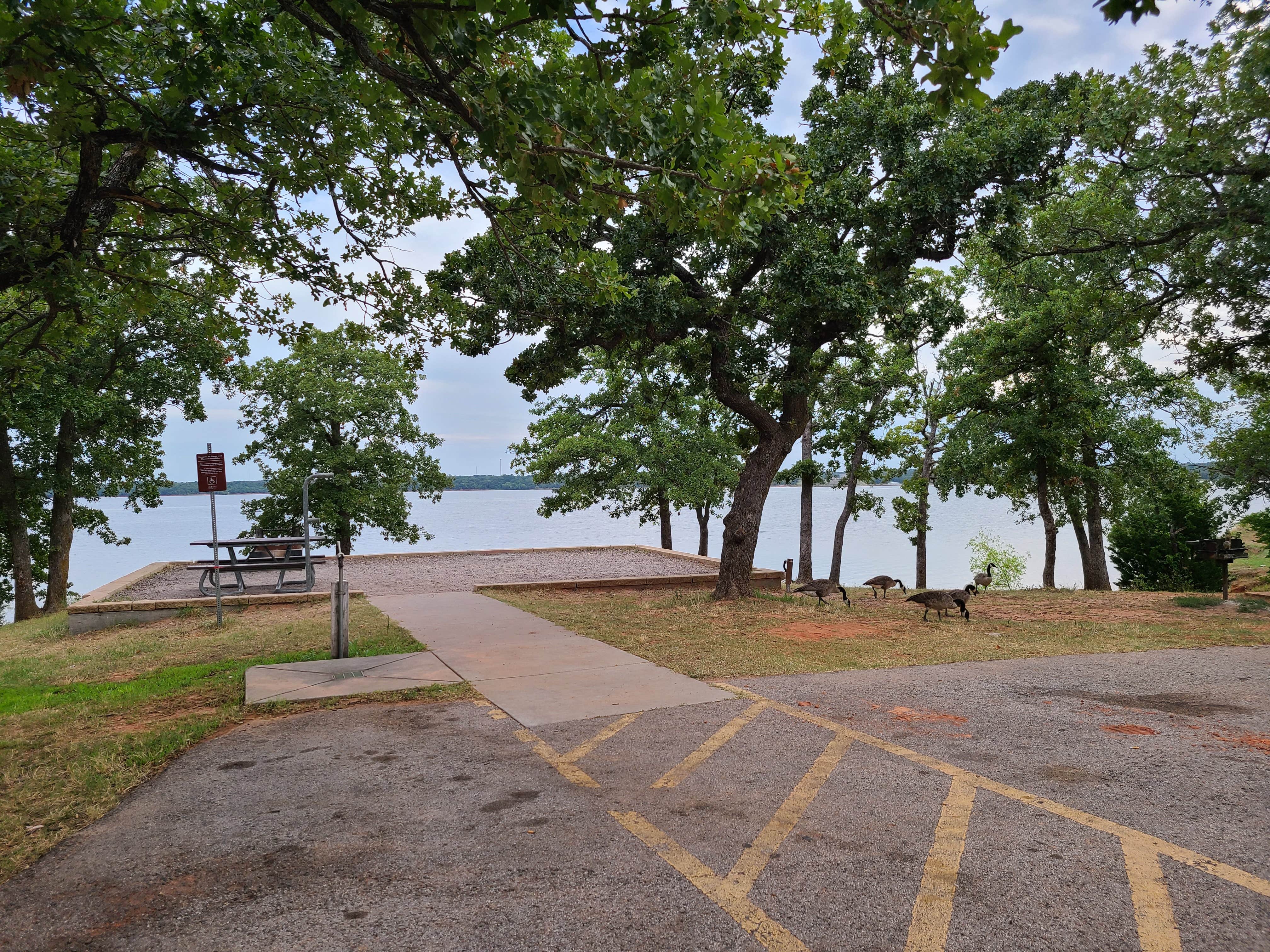 Camper submitted image from Critter Alley — Lake Thunderbird State Park - 5