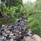 Review photo of Greenhorn Meadows Park by Kathrina M., July 27, 2020