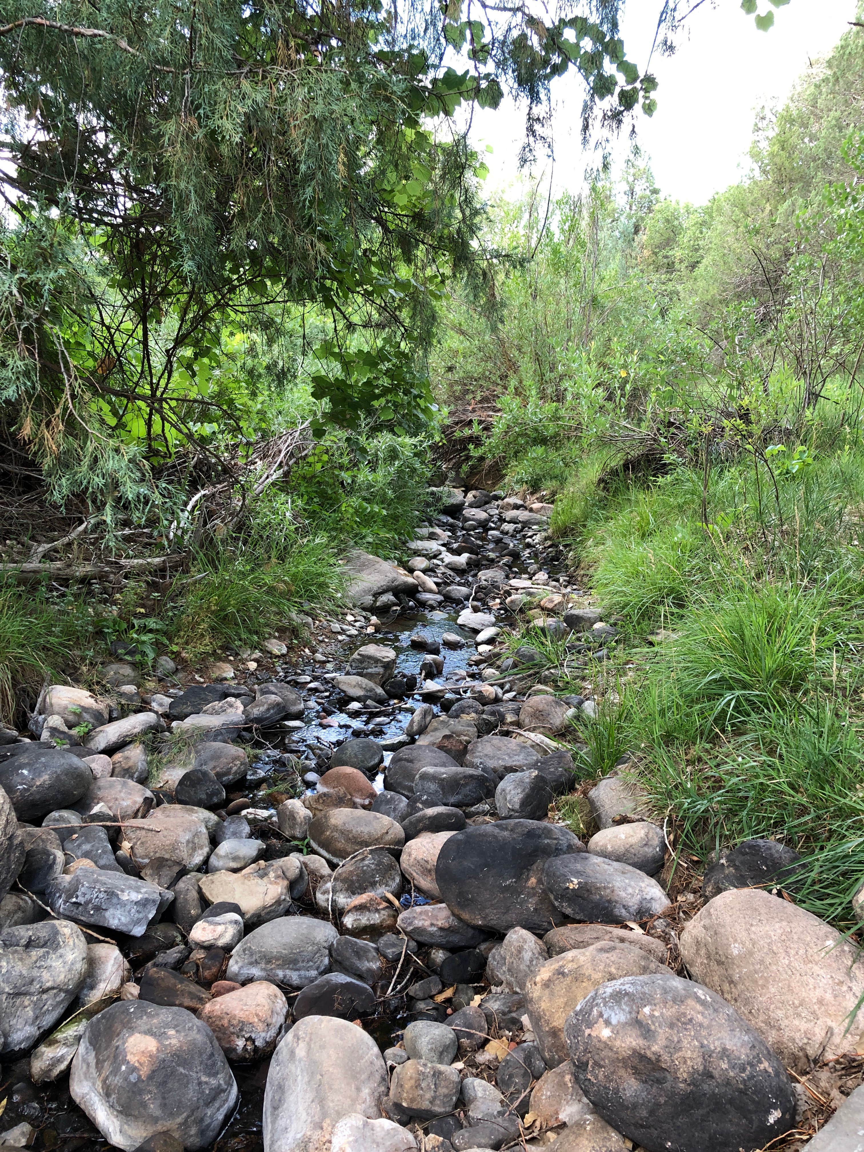 Camper submitted image from Greenhorn Meadows Park - 3