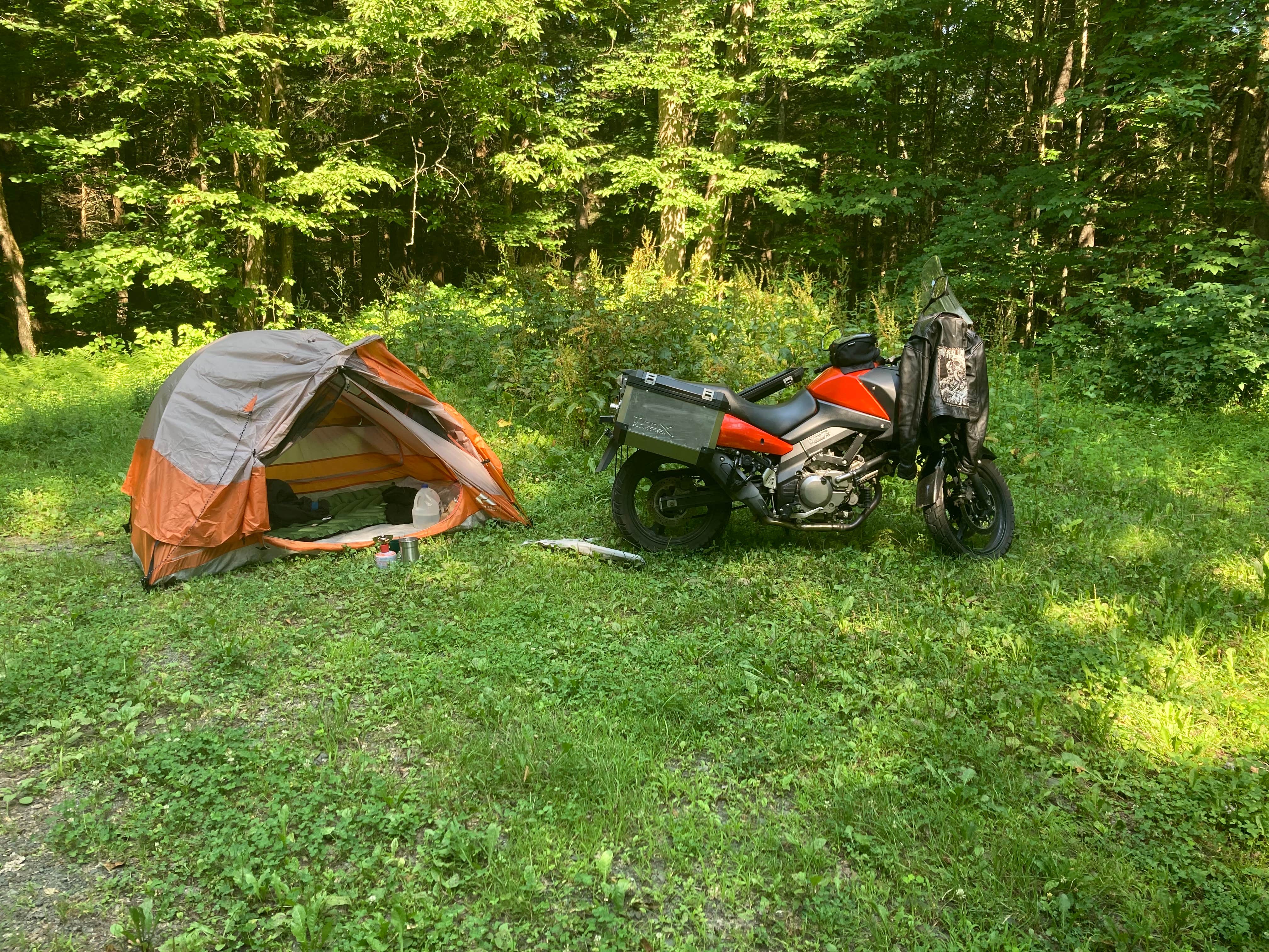 Camper submitted image from Charles E. Baker State Forest - 3