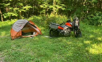 Matt A.'s photo of tent camping at Charles E. Baker State Forest in New York