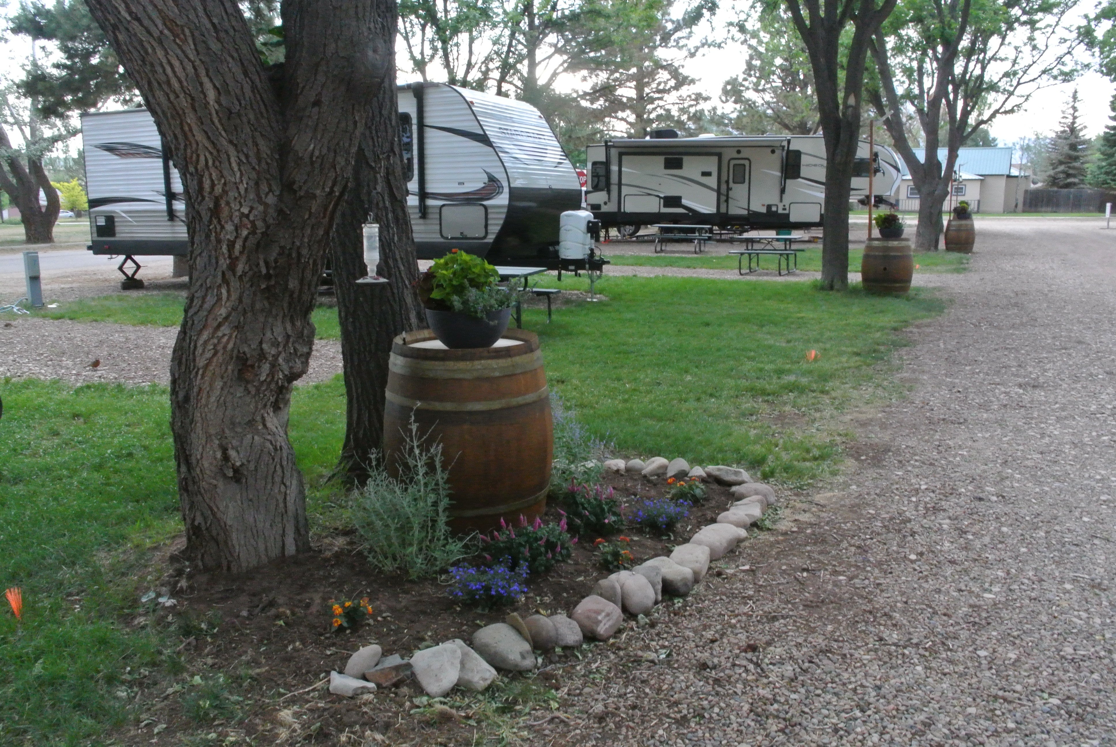 Camper submitted image from La Veta Pines RV Park - 5