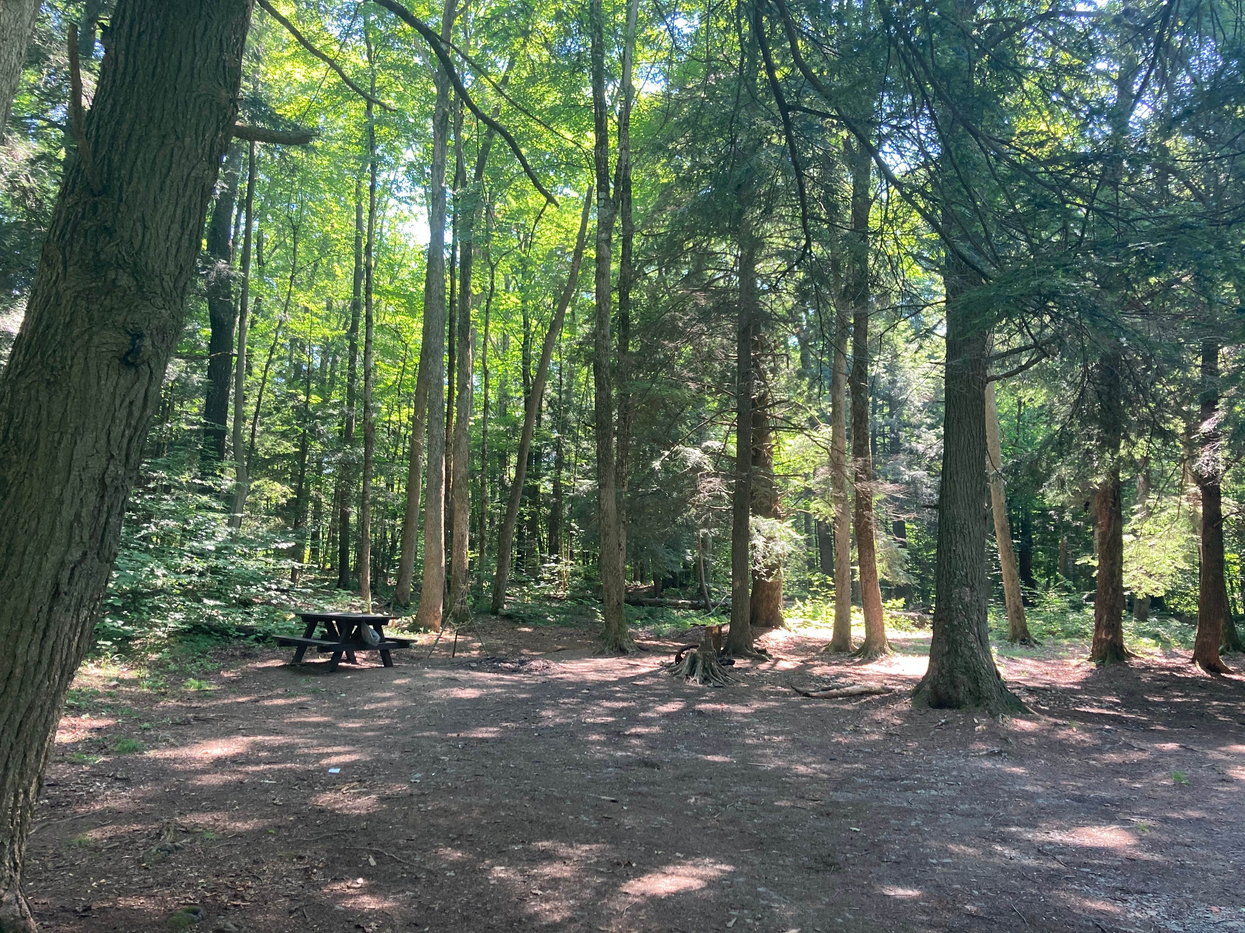 Camper-submitted photo at Charles E. Baker State Forest near Waterville, NY