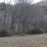 Review photo of Steel Creek Campground — Buffalo National River by Natalie B., March 27, 2018