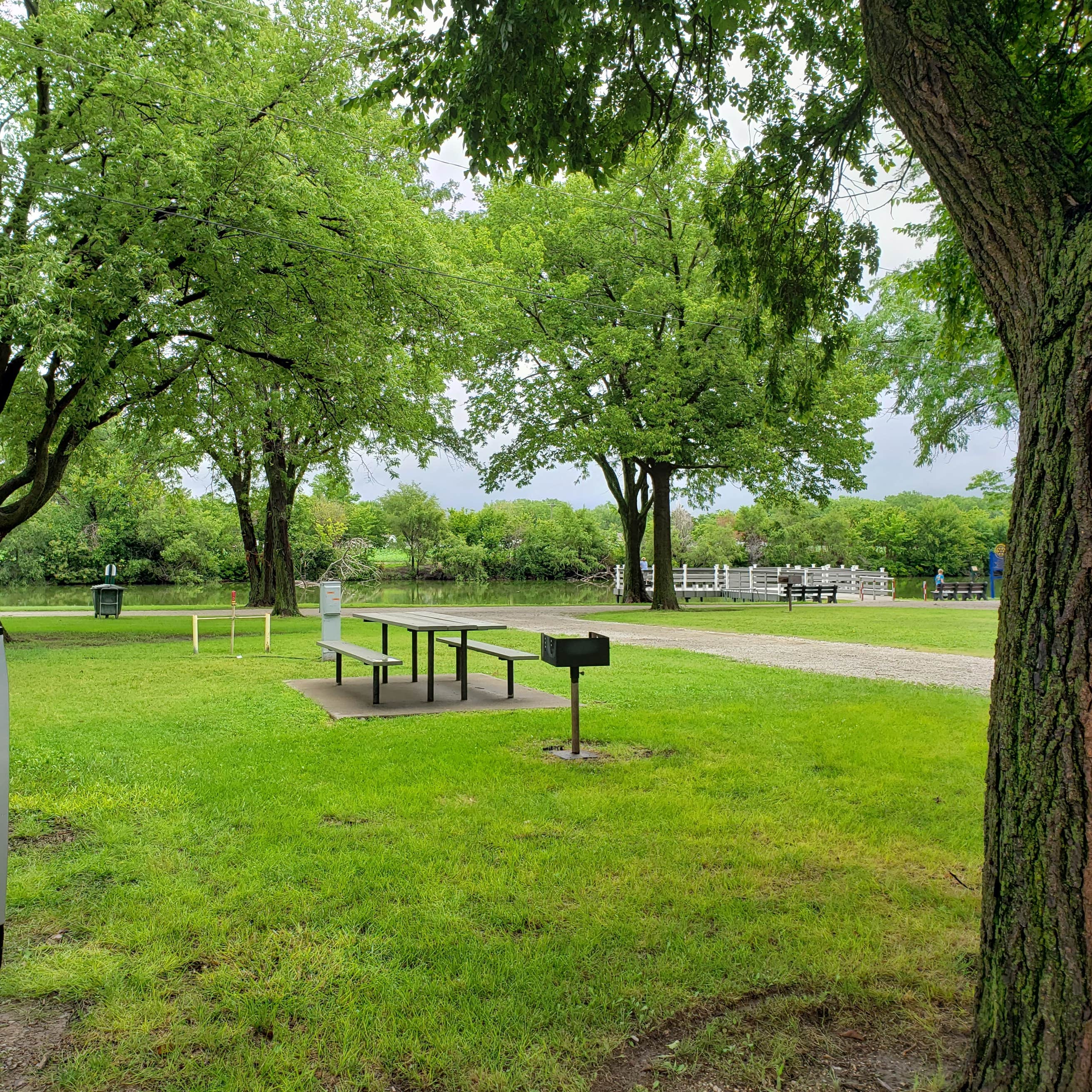 Ellis Lakeside Campground Camping The Dyrt