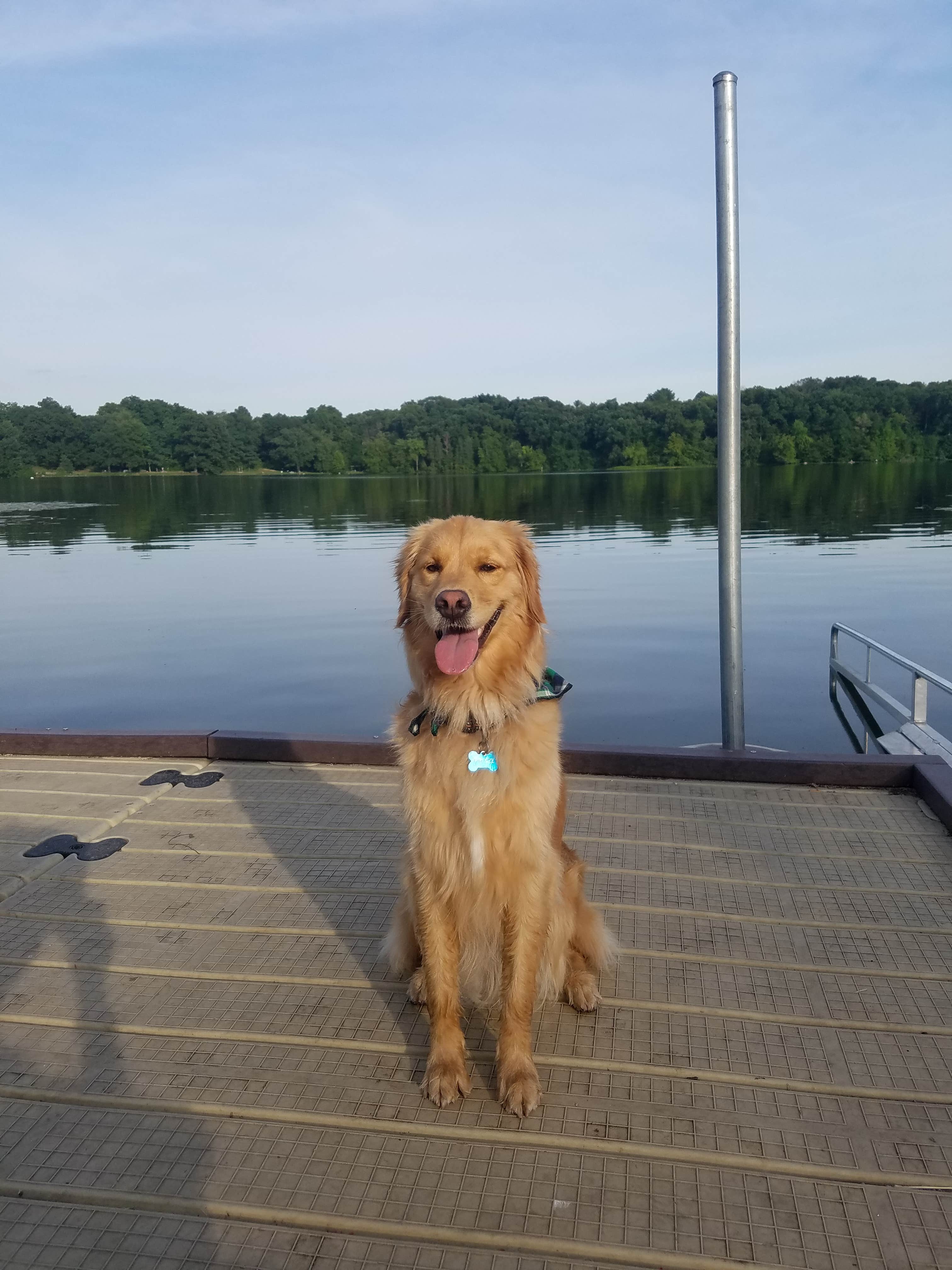 Camper-submitted photo at Bishop Lake Campground near Dearborn, MI