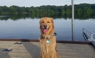 Selena  E.'s photo of camping with pets at Bishop Lake Campground near Okemos, MI
