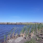 Review photo of Ana Reservoir RV Park by Krissi W., July 27, 2020