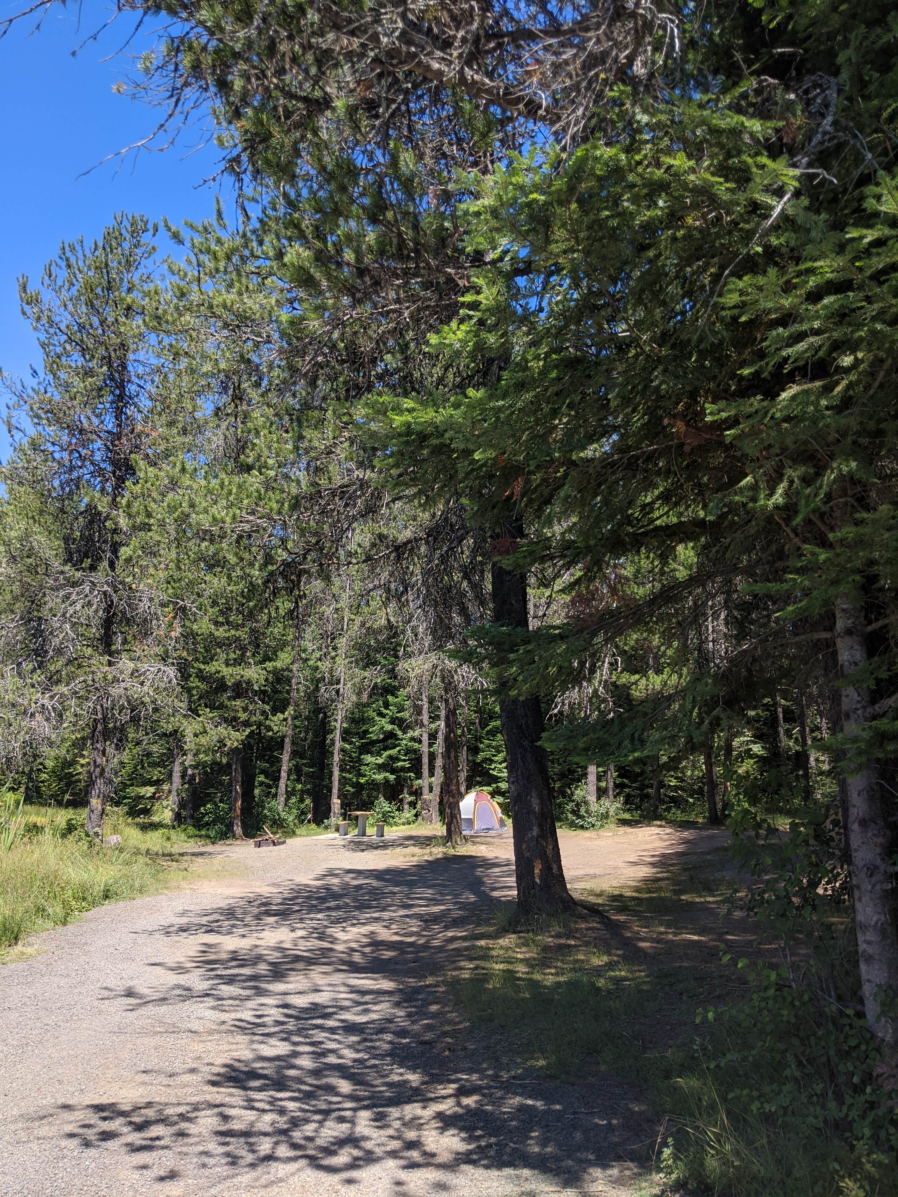 Camper-submitted photo at Moose Creek Reservoir Access near Santa, ID