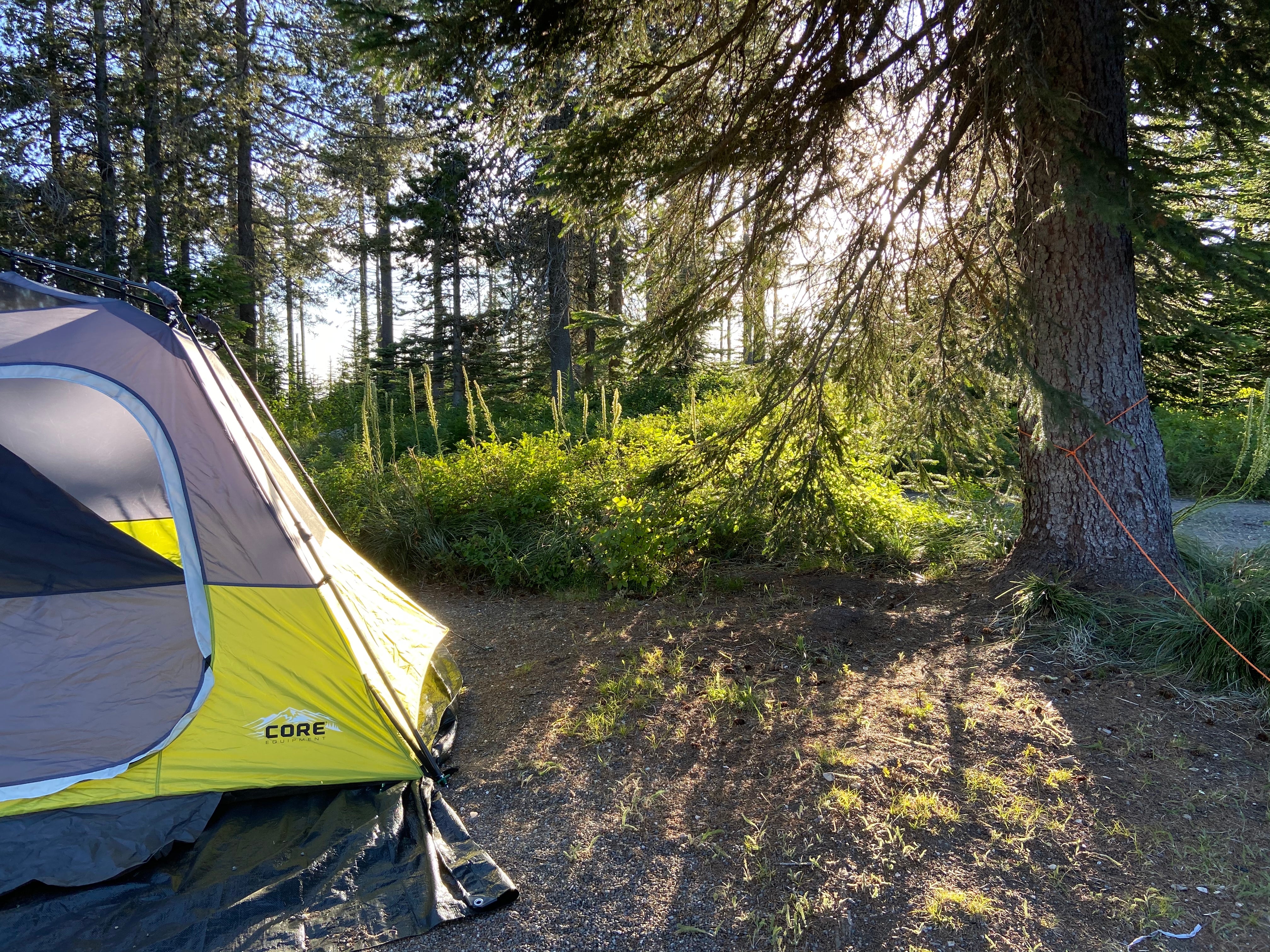Camper submitted image from Bald Knob Campground — Mount Spokane State Park - 4