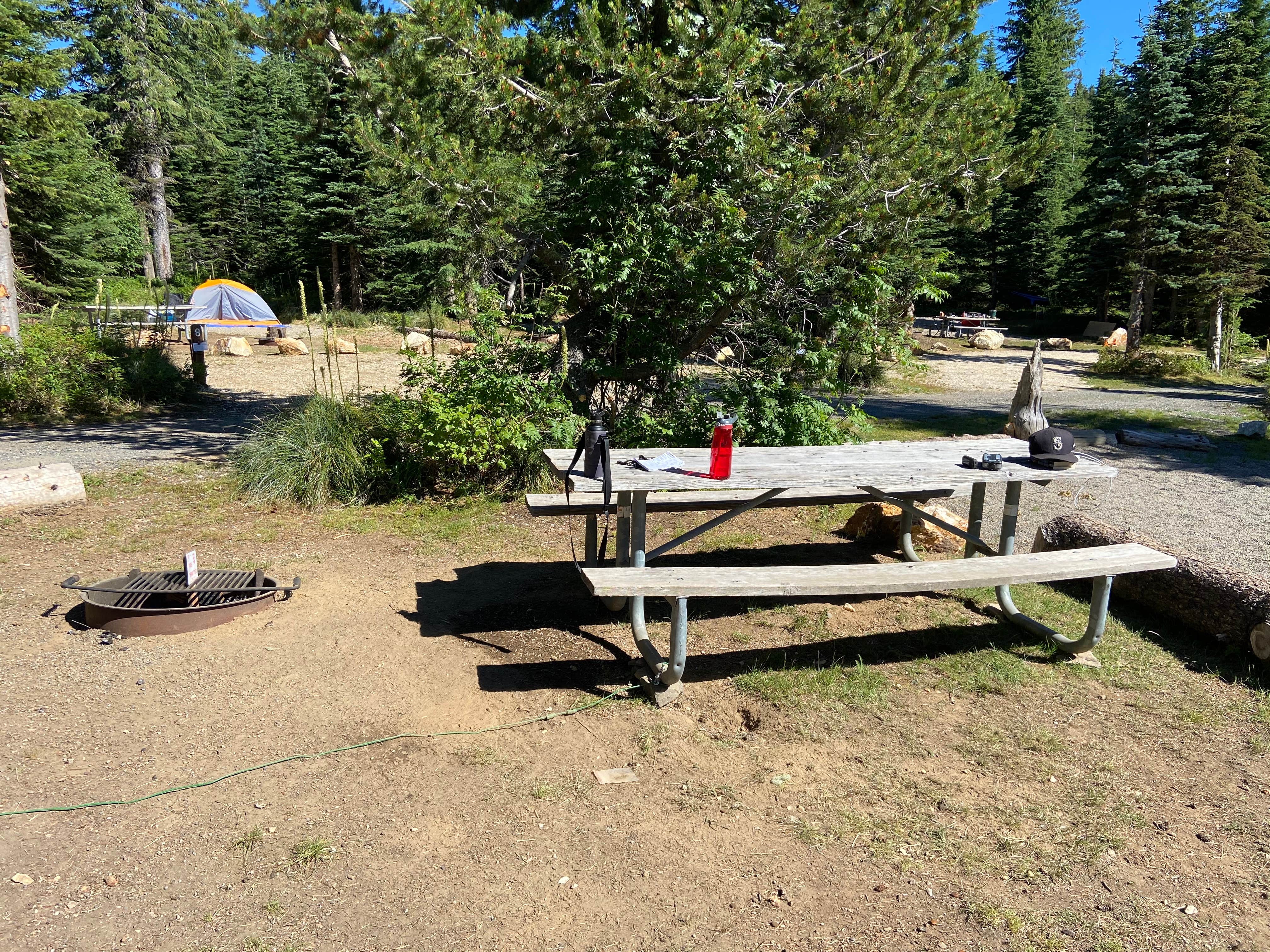 Camper-submitted photo at Bald Knob Campground — Mount Spokane State Park near Chattaroy, WA