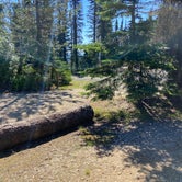 Review photo of Bald Knob Campground — Mount Spokane State Park by Kelsey G., July 27, 2020