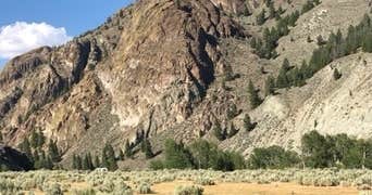 Winged Fork Pl Dispersed