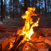 Review photo of Payson Campground & RV Resort by Christina L., July 27, 2020