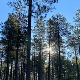 Review photo of Payson Campground & RV Resort by Christina L., July 27, 2020